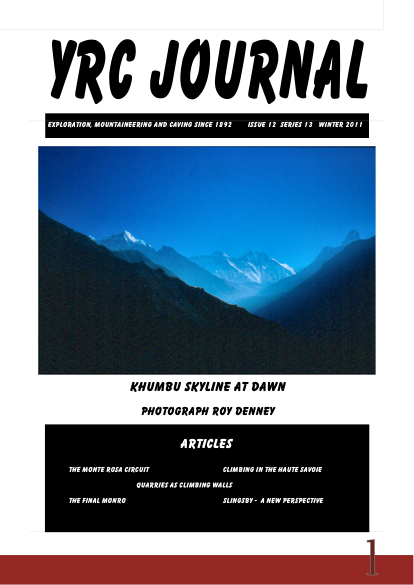YRCJ 2011; 13(12) cover